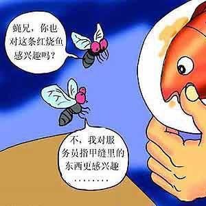 社会行为